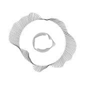 500x500