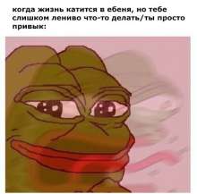500x495