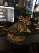 2448x3264