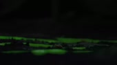 968x540