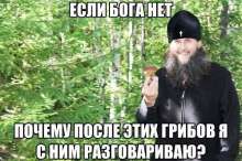 500x334