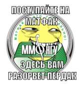 335x339