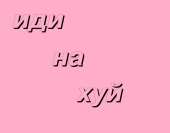 629x493