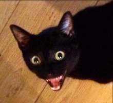 400x369