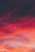 1280x1920