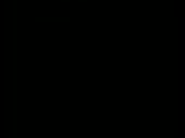 384x288