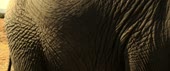 1000x418