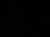320x240