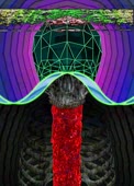 500x692