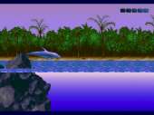 640x480
