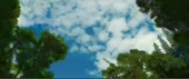 480x202