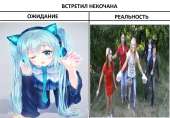 1366x955