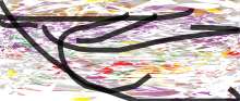 1360x581