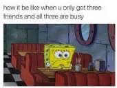 588x445