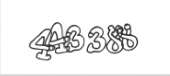 365x165