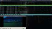 1366x768