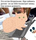 628x696