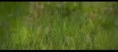 608x272