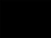 320x240