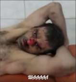 398x426