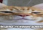 400x284