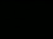 384x288