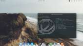 1366x768