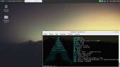 1366x768