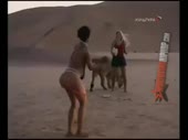480x360