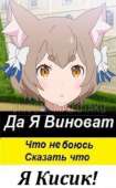 294x472