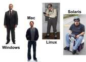 576x414