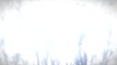 1280x720