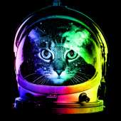 900x900