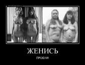 600x461