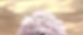1280x544