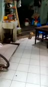 360x640