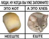 600x474