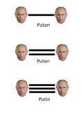 427x604