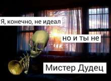 494x366