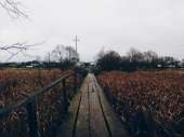 2560x1920