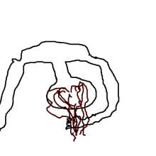 400x400