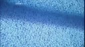 480x266