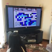 480x480