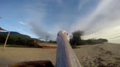490x276