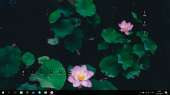 1366x768