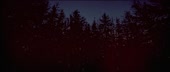 1280x544