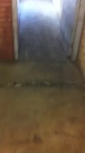 406x720