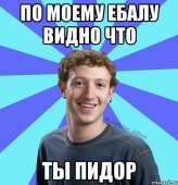 482x498
