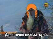500x371