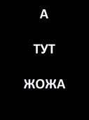 600x800